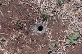 Images_Belize_2011_396