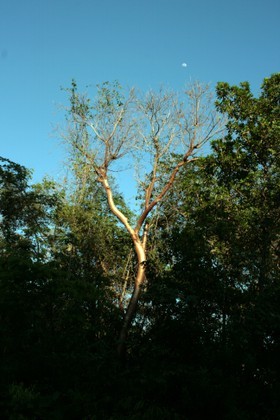 Images_Belize_2011_348