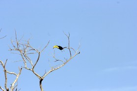 Images_Belize_2011_072