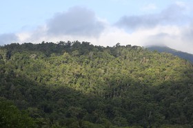 Cape-Trib_0716.JPG