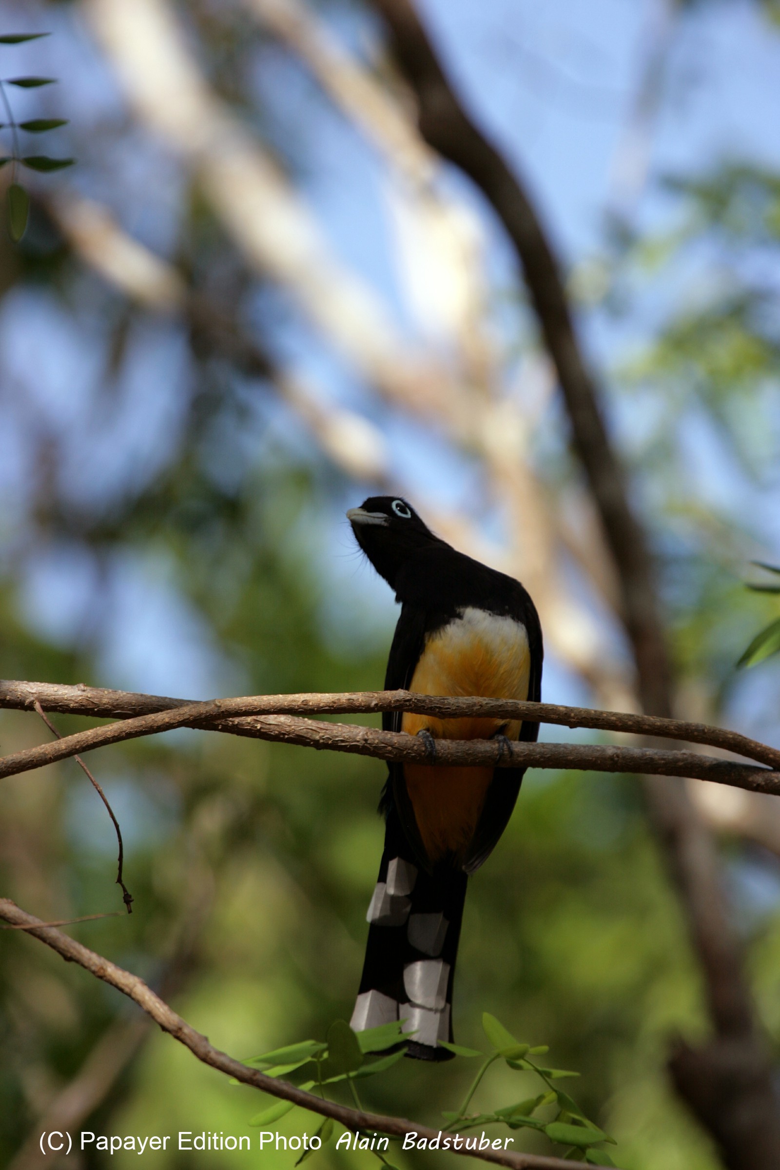 Images_Belize_2011_040