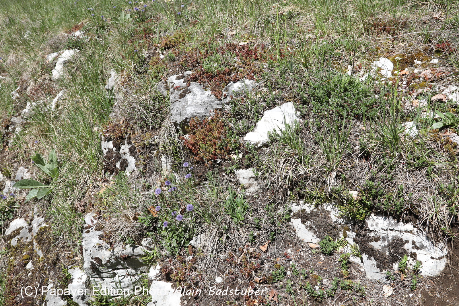 Ma balade du premier mai 2019