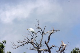 Images_Belize_2011_116