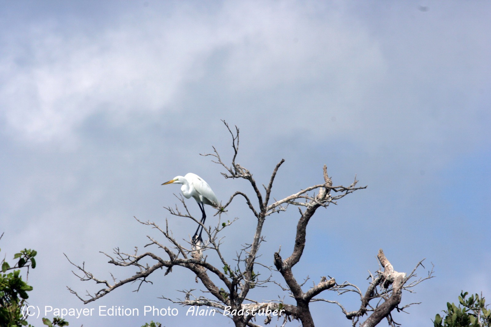 Images_Belize_2011_116