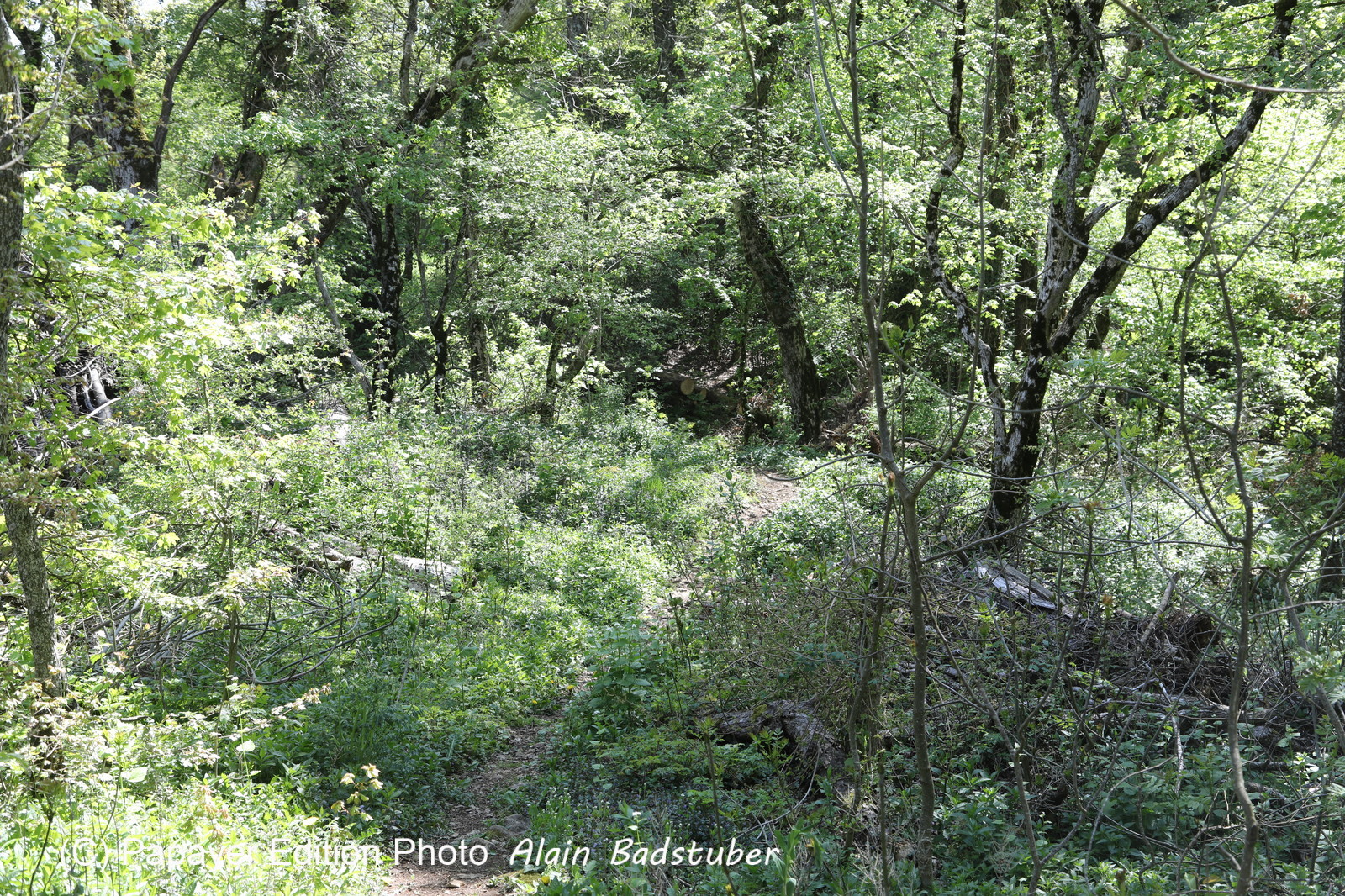 Ma balade du premier mai 2019