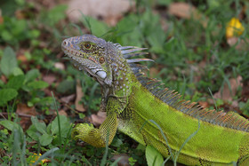 Punta Culebra Nature Center