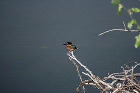 Images_Belize_2011_293