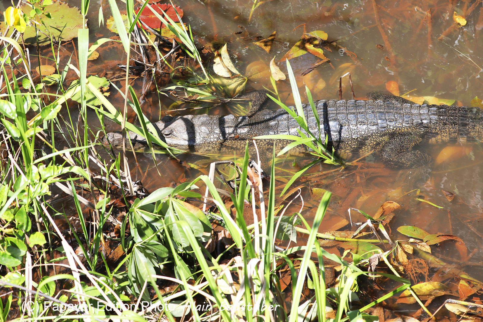 Hopkins, Octobre-Novembre 2021