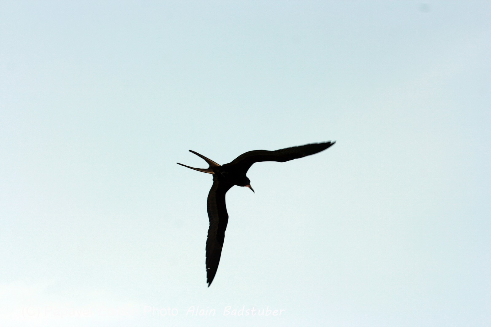 Images_Belize_2011_403