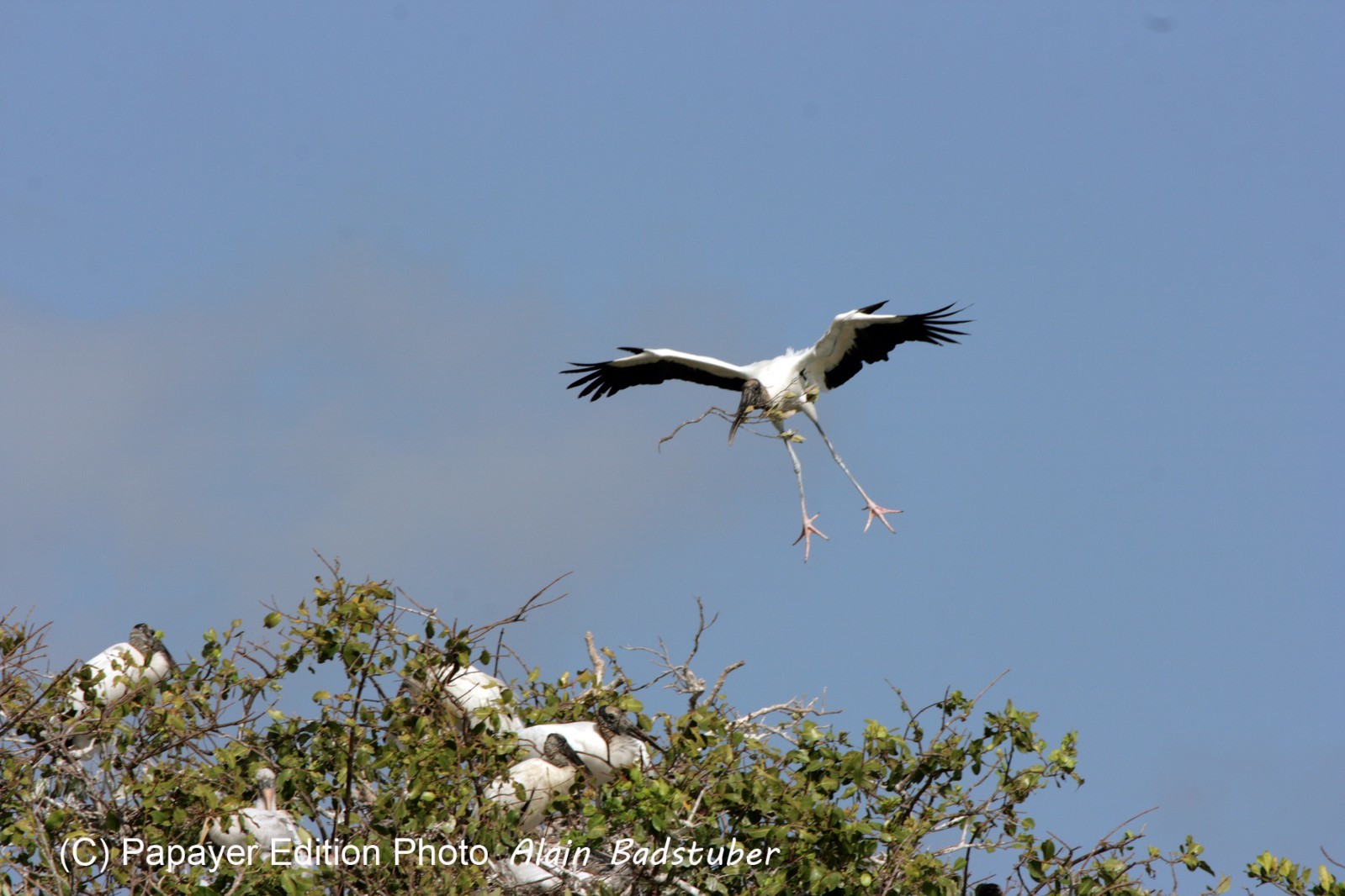 Images_Belize_2011_093