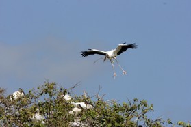 Images_Belize_2011_093