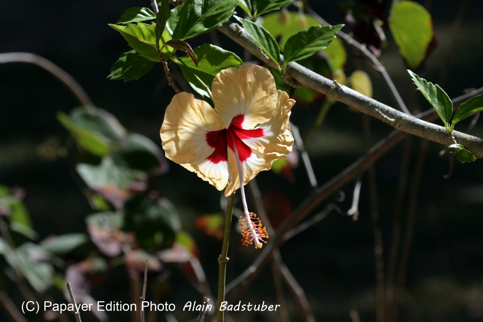 Images_Belize_2011_052