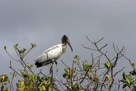 Images_Belize_2011_120