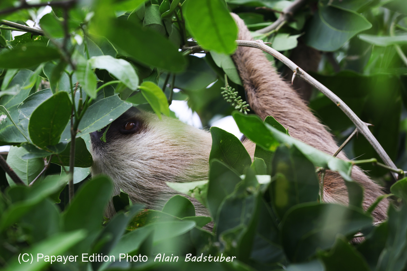 Punta Culebra Nature Center