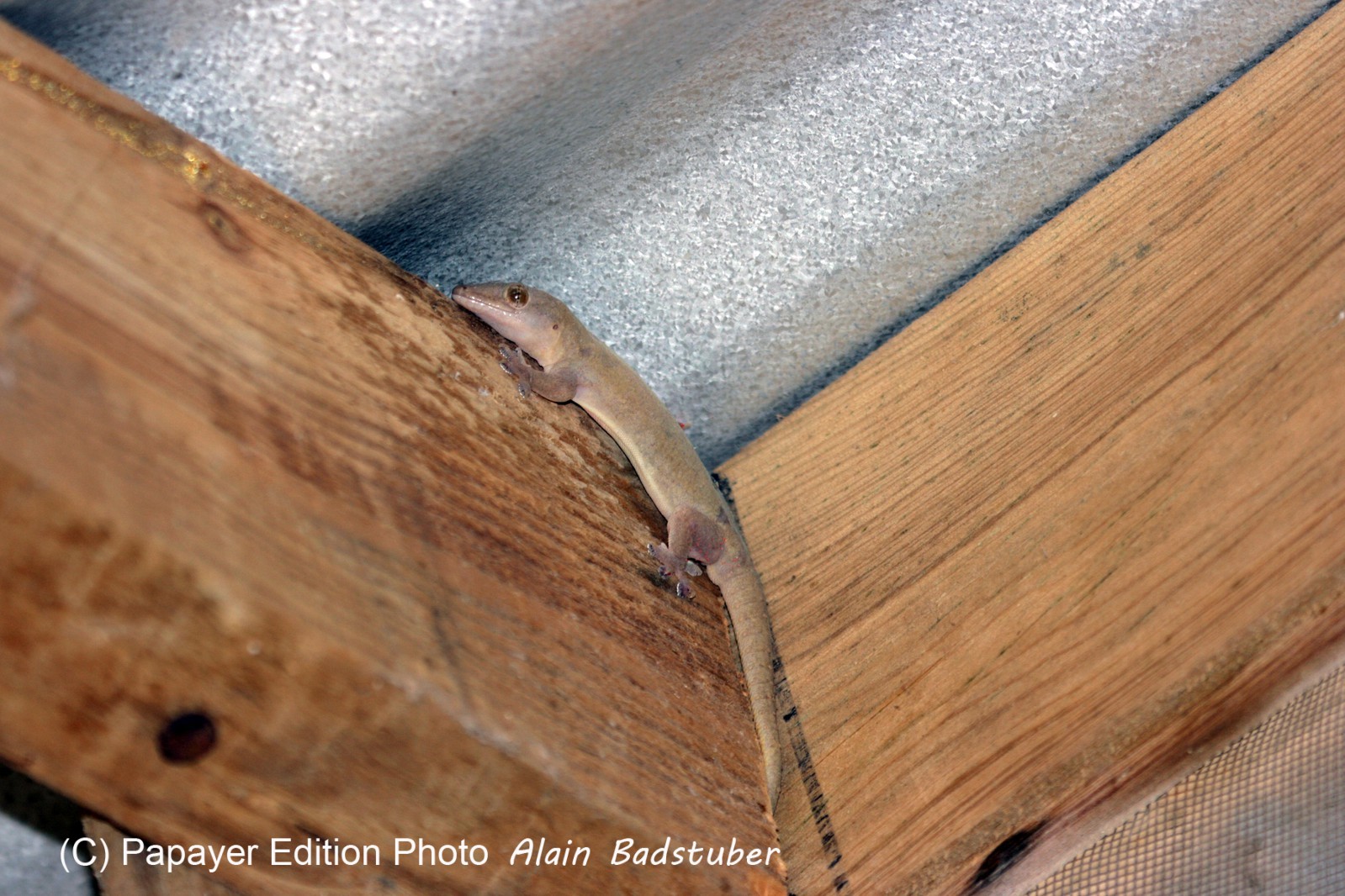 Images_Belize_2011_005