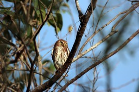 Images_Belize_2011_337