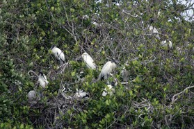 Images_Belize_2011_091