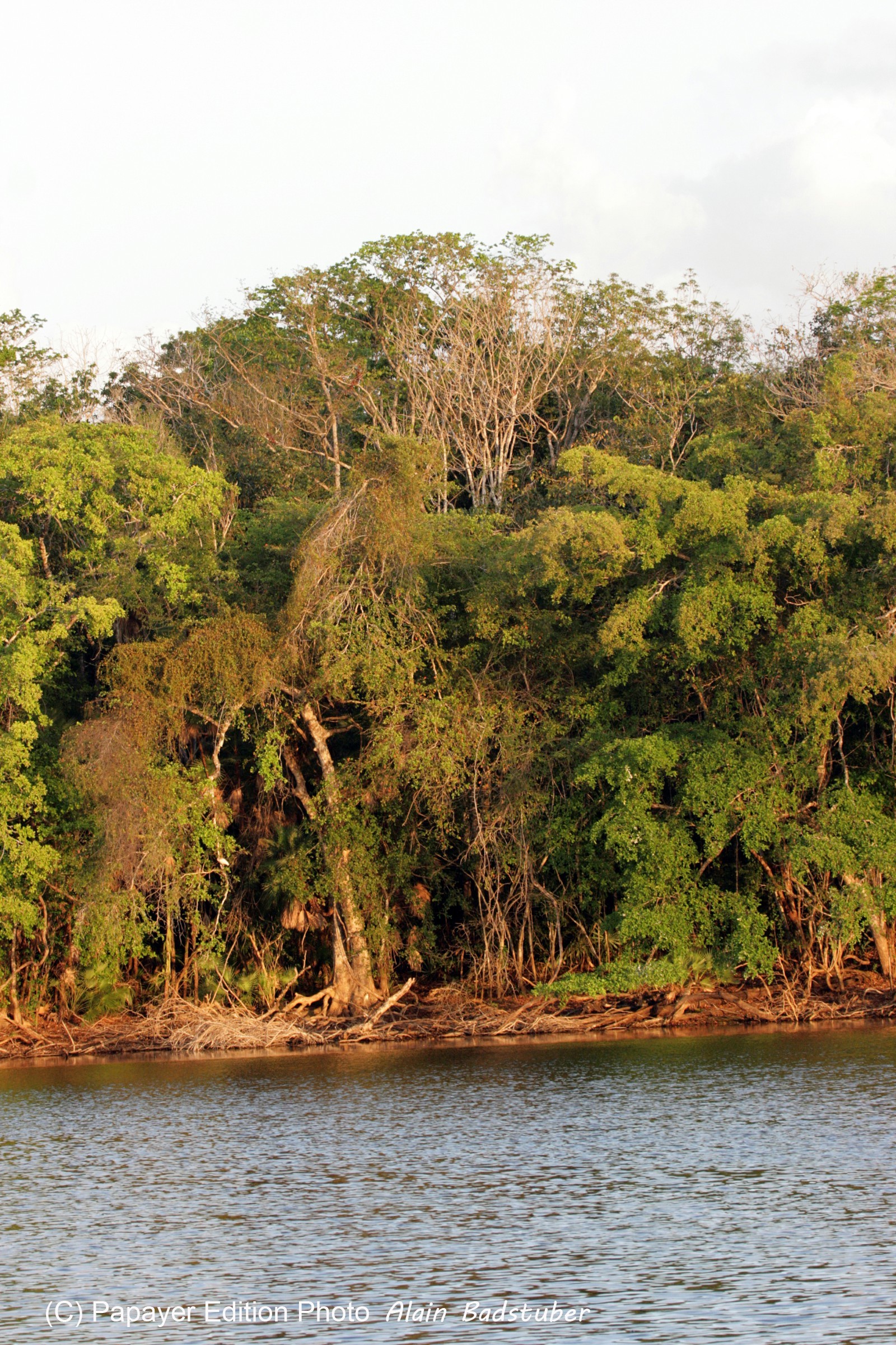 Images_Belize_2011_276