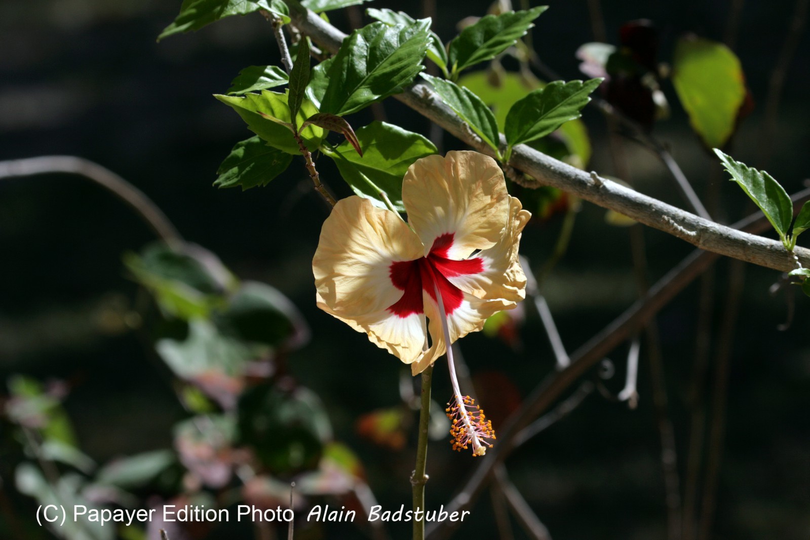 Images_Belize_2011_053