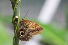 Punta Culebra Nature Center