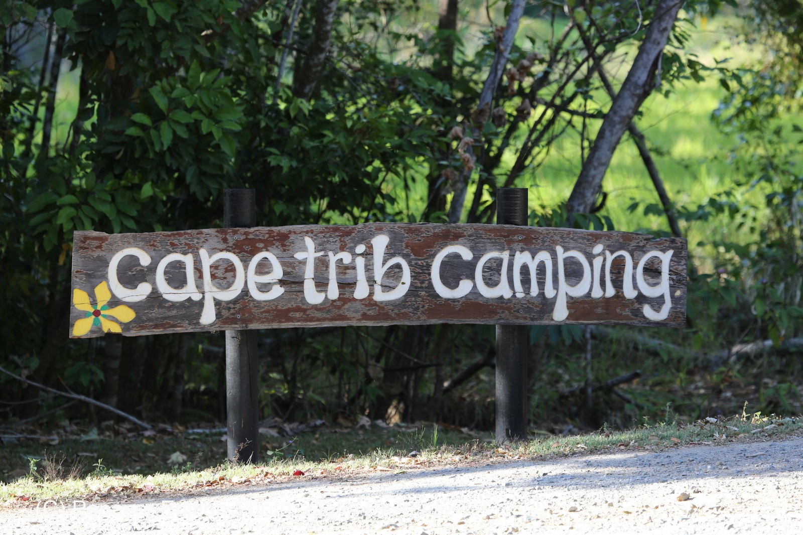 Cape-Trib_0015.JPG