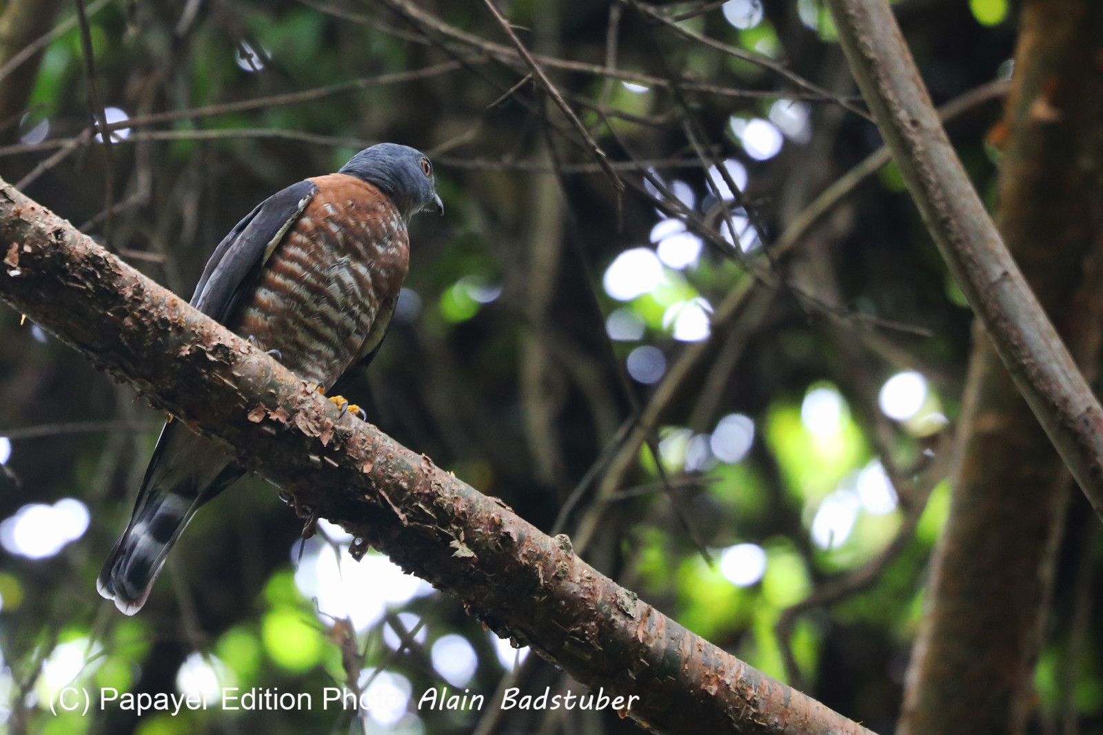 Parque Natural Metropolitano