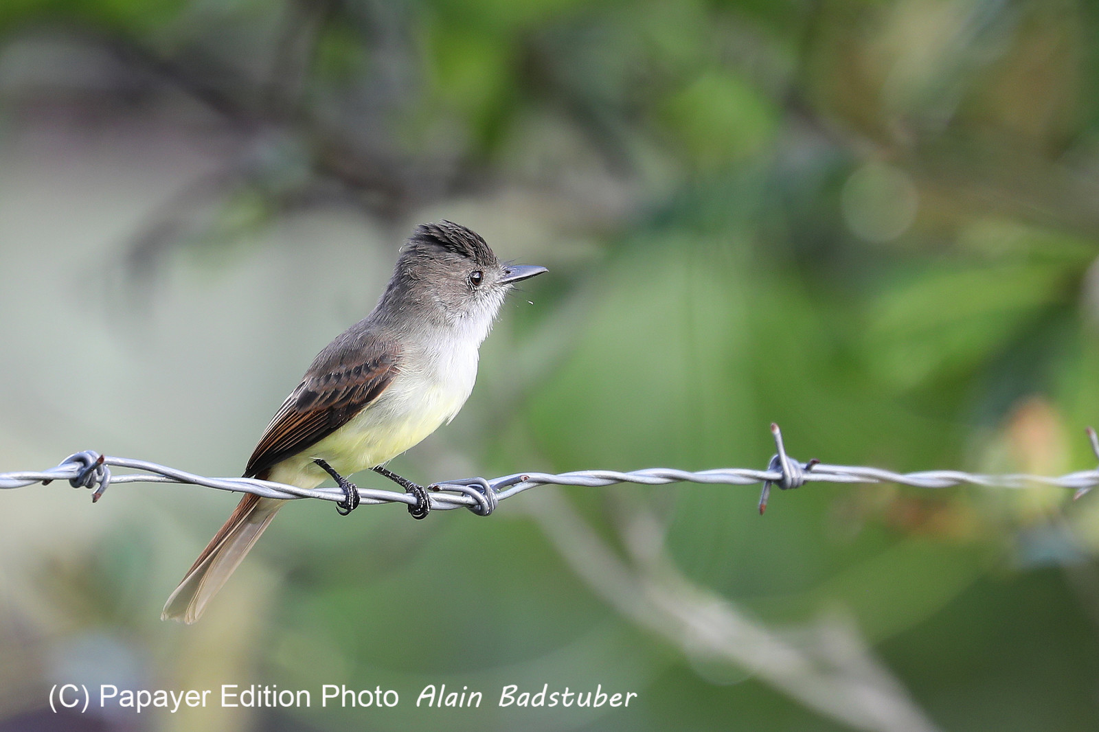 Premier séjour à Crooked Tree , au Bélize en octobre 2021