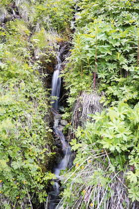 Pas de vent, mais d'autres photos !