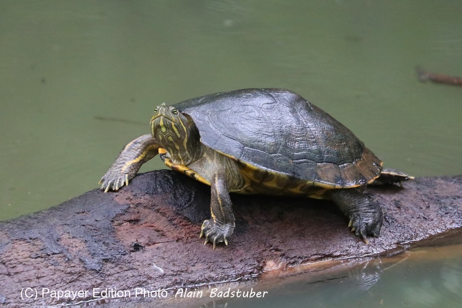 Parque Natural Metropolitano