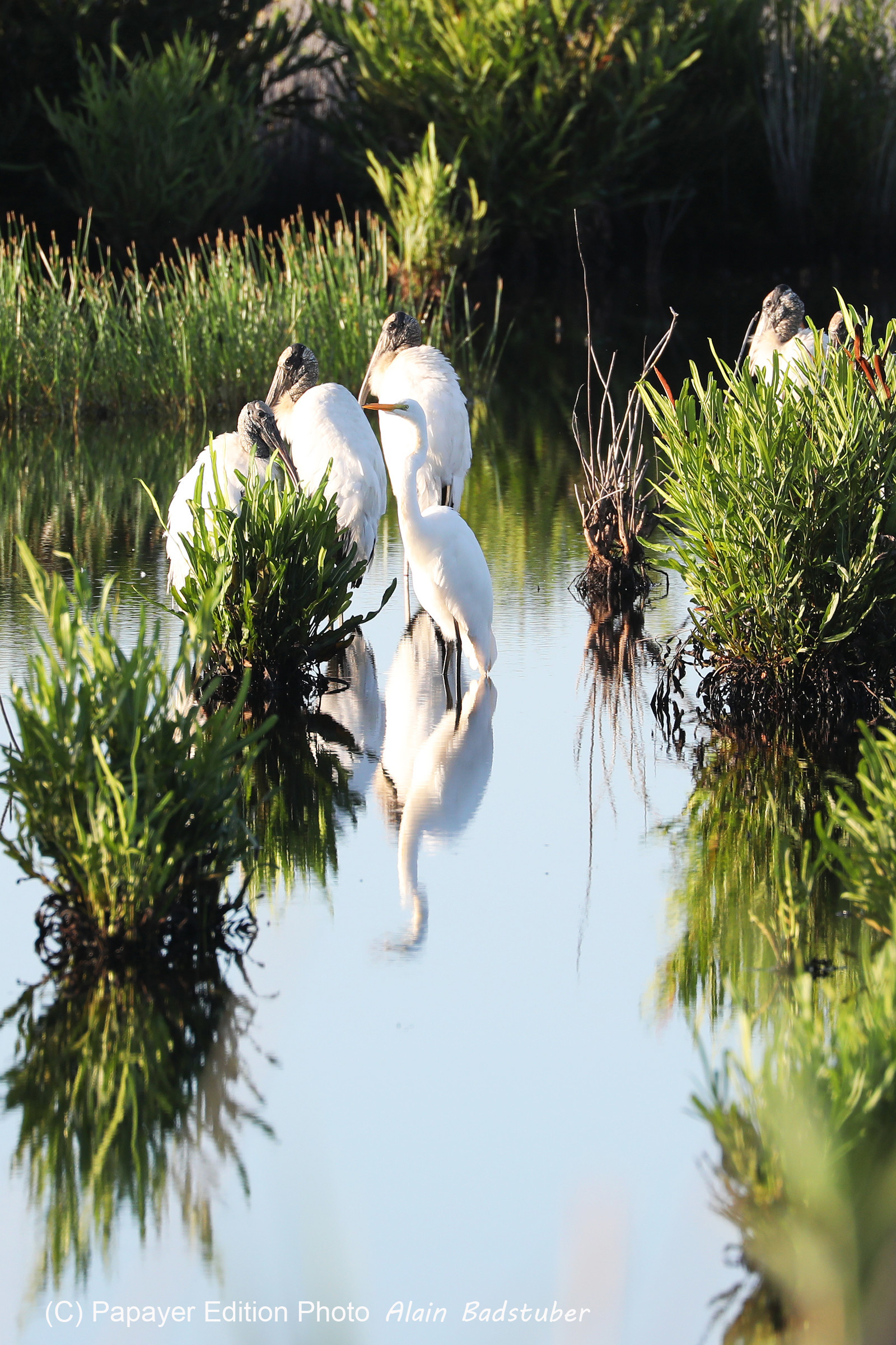 Hopkins, Octobre-Novembre 2021