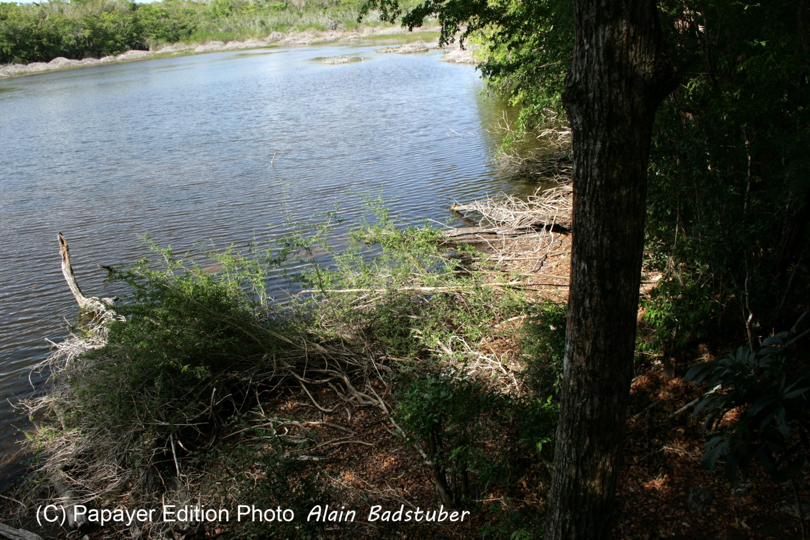 Images_Belize_2011_262