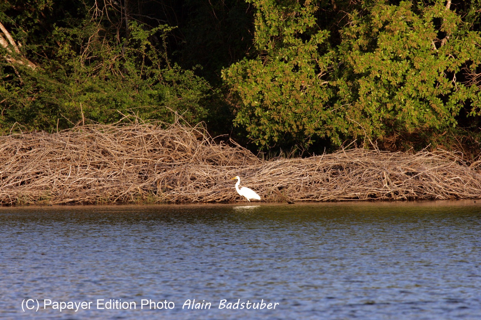 Images_Belize_2011_275