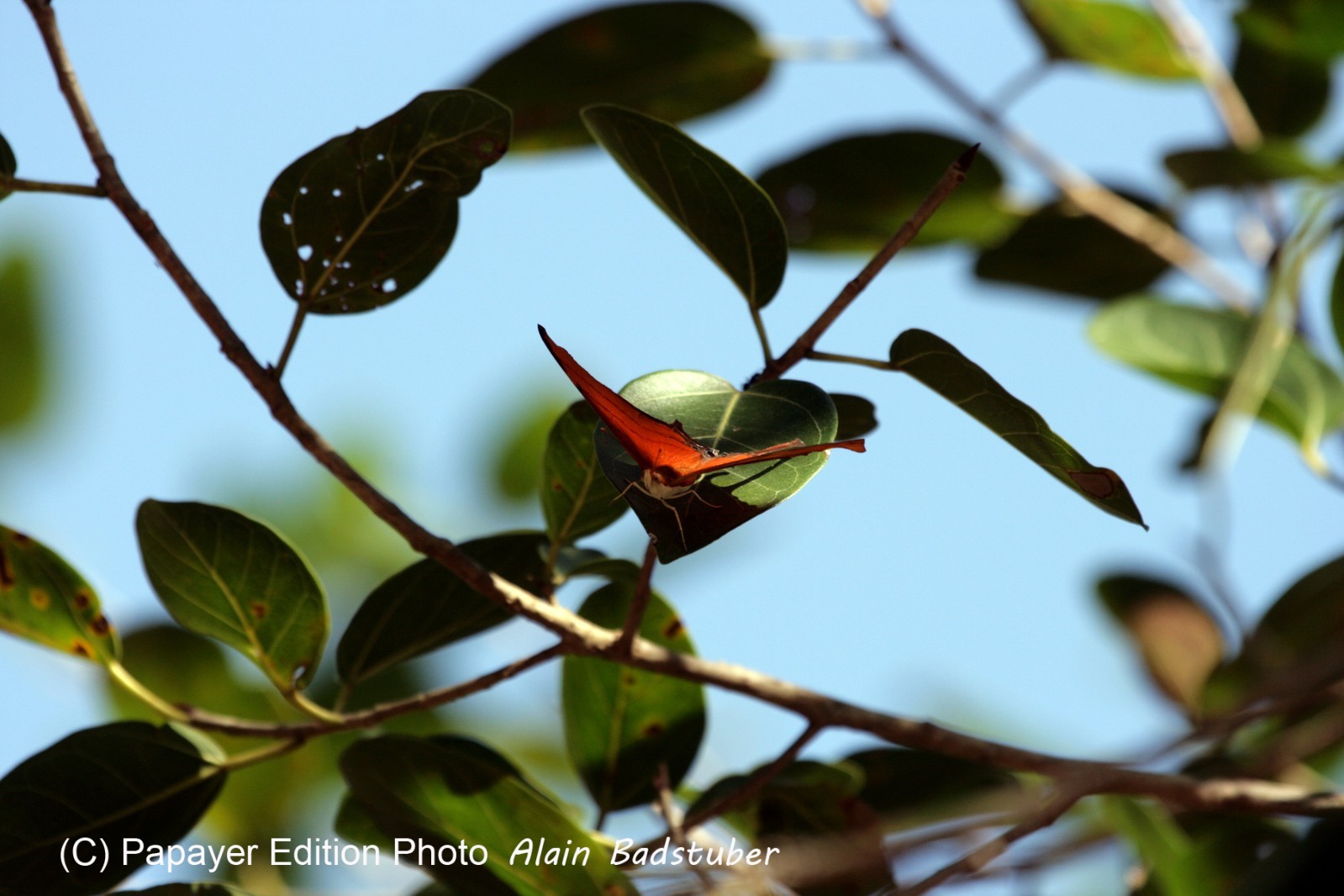 Images_Belize_2011_064