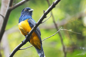 Deuxième séjour à Sarteneja, Bélize, Novembre - Décembre 2021