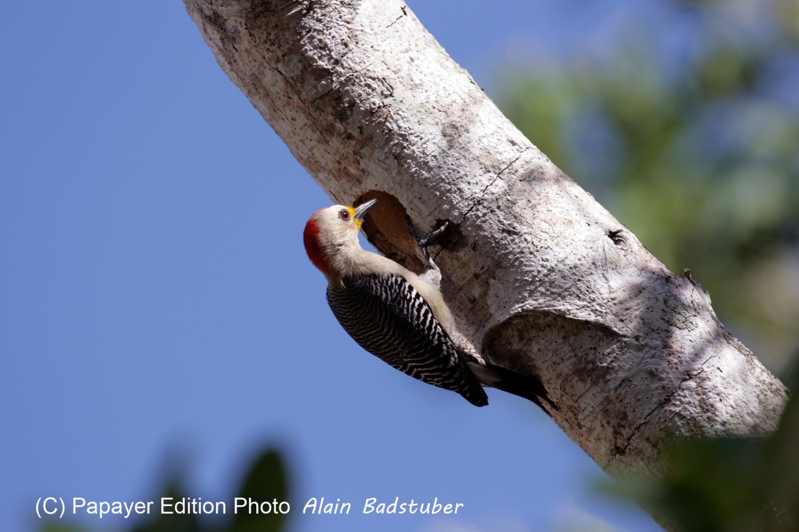 Images_Belize_2011_061
