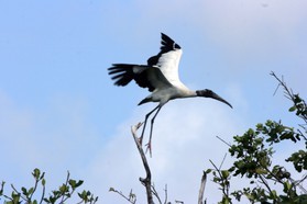 Images_Belize_2011_106