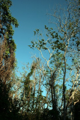 Images_Belize_2011_345