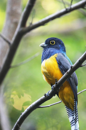 Deuxième séjour à Sarteneja, Bélize, Novembre - Décembre 2021