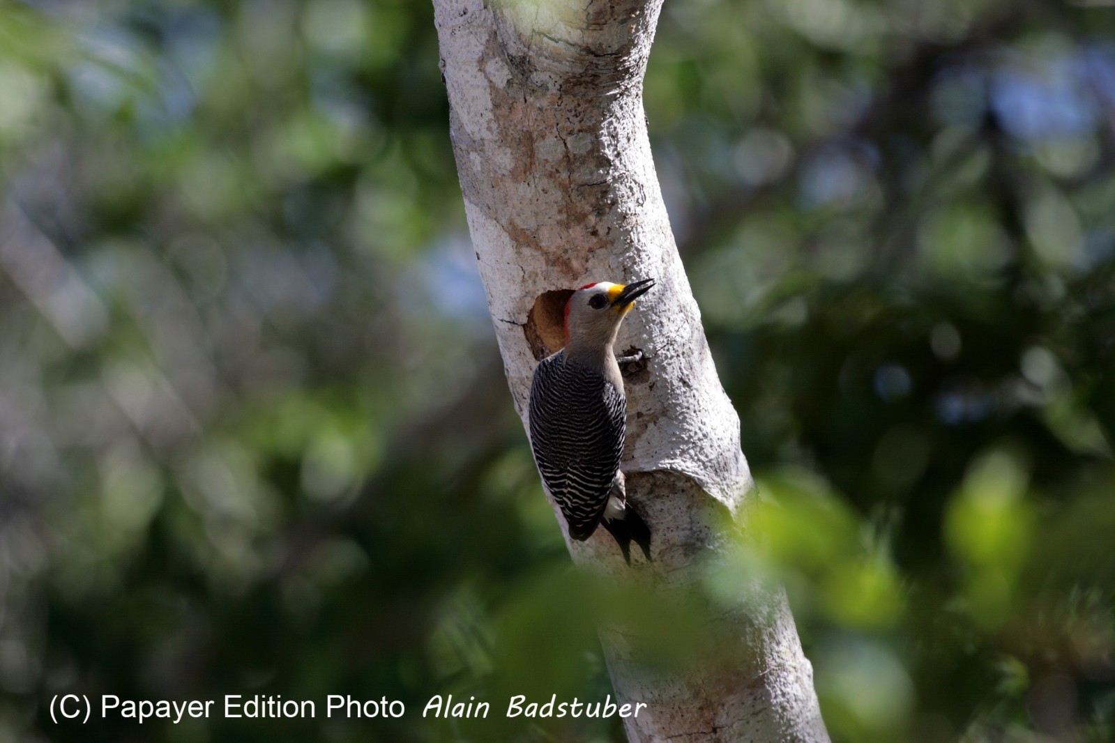 Images_Belize_2011_060