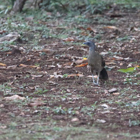 Deuxième séjour à Sarteneja, Bélize, Novembre - Décembre 2021
