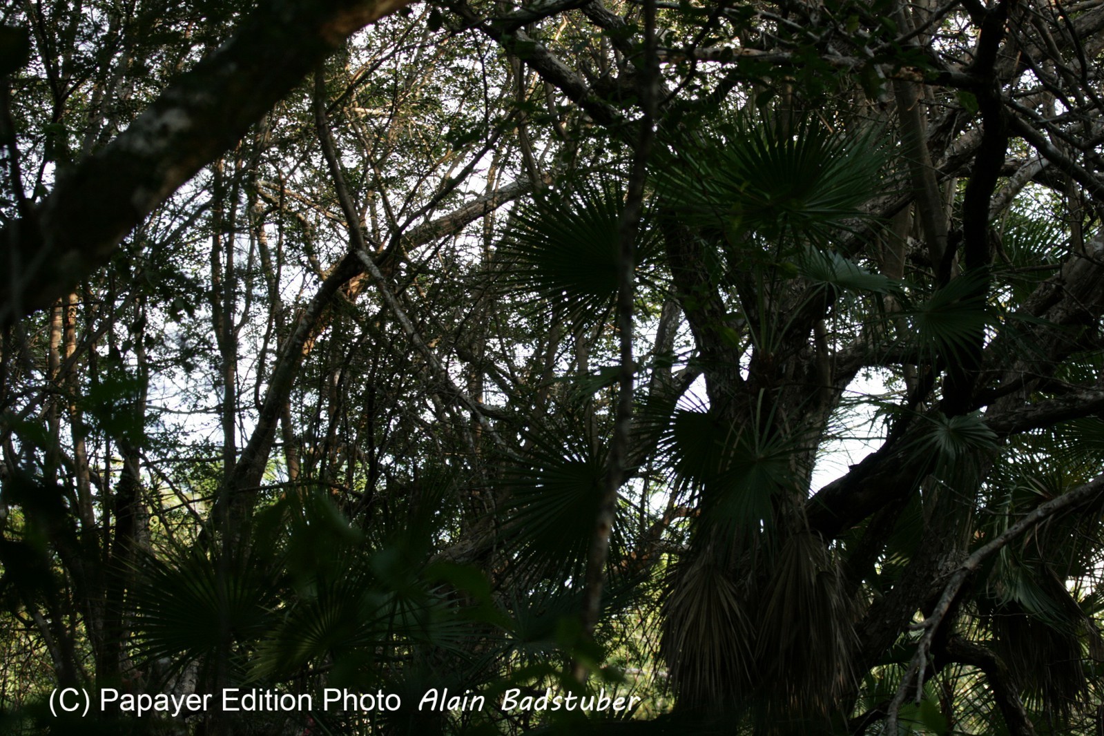 Images_Belize_2011_270