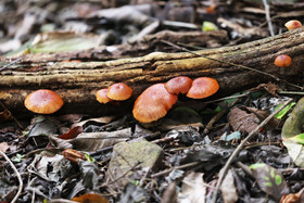 Punta Culebra Nature Center