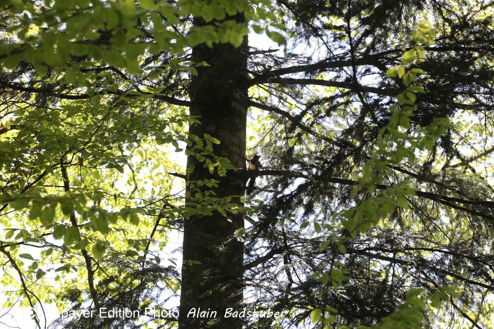 Ma balade du premier mai 2019