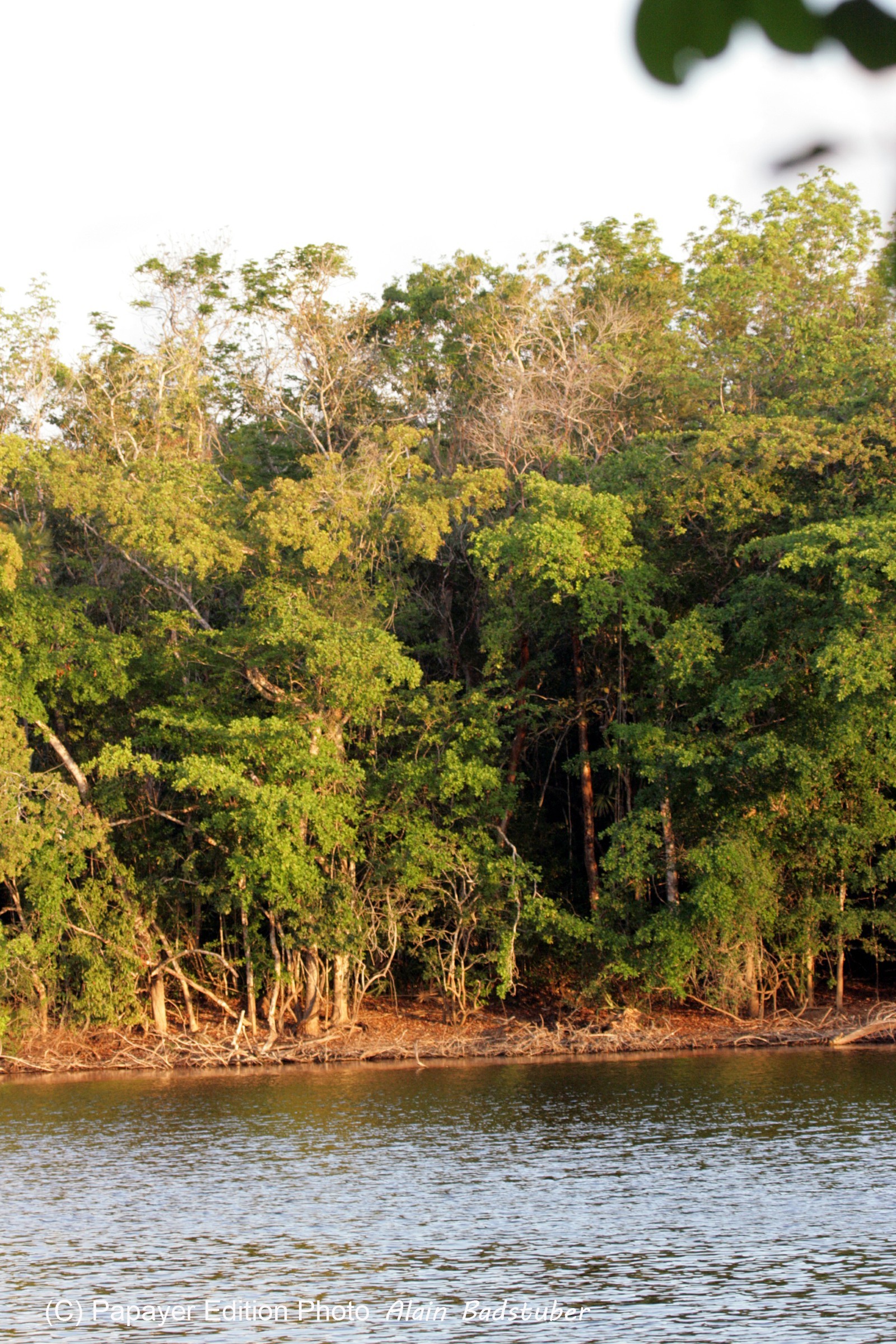 Images_Belize_2011_278