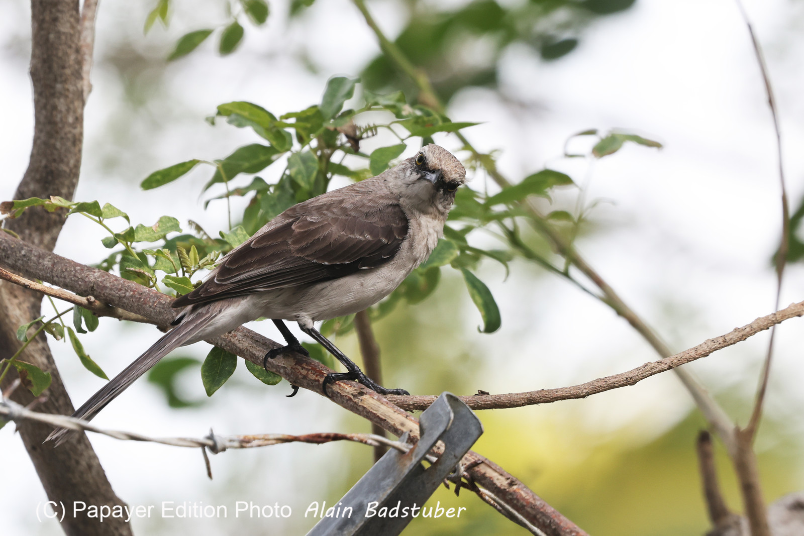 Punta Culebra Nature Center