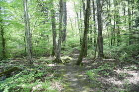 Ma balade du premier mai 2019