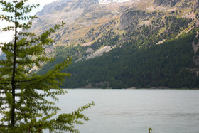 Pas de vent, mais d'autres photos !