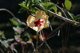 Images_Belize_2011_052