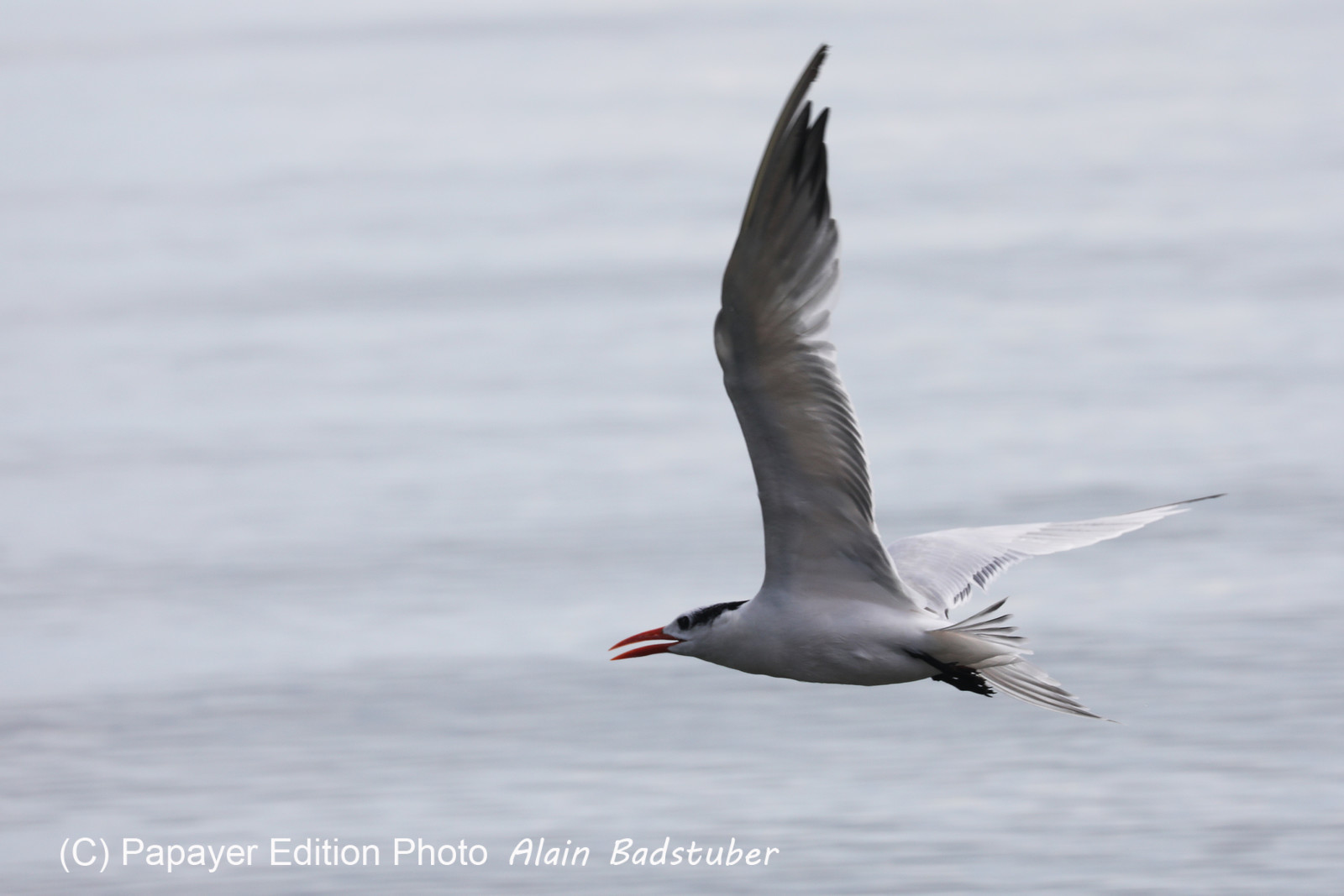 Hopkins, Octobre-Novembre 2021