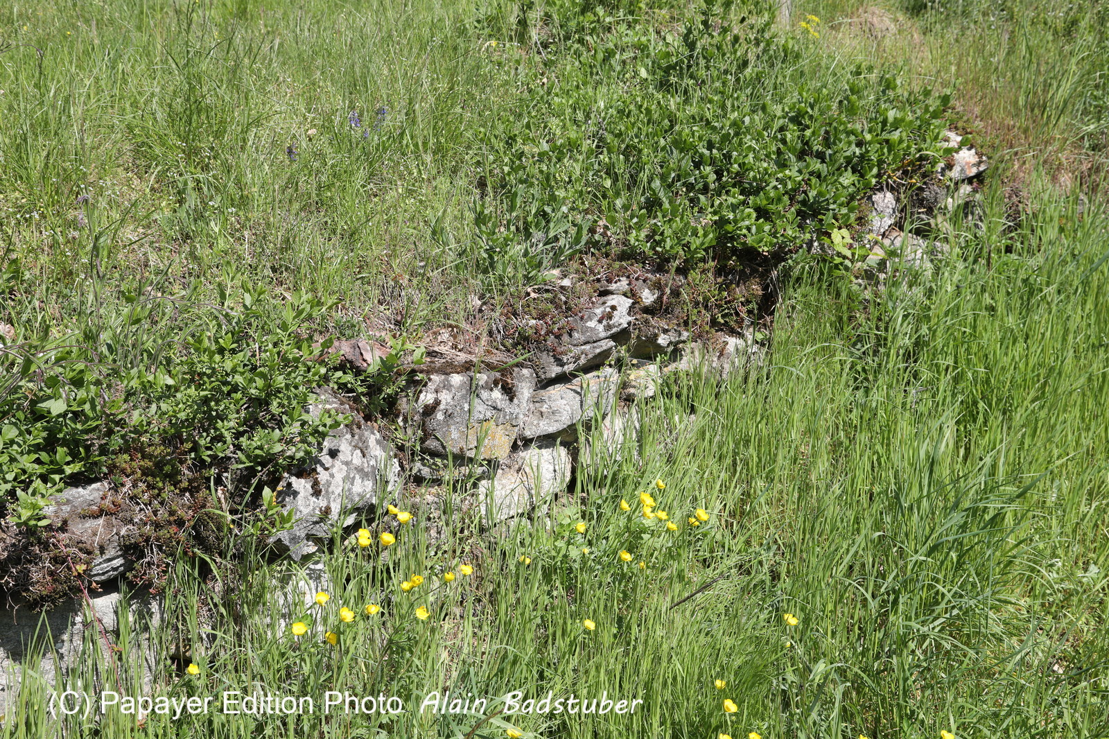 Ma balade du premier mai 2019